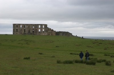 IMG_2133.jpg