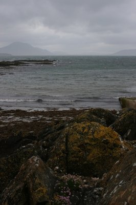 IMG_2170.jpg