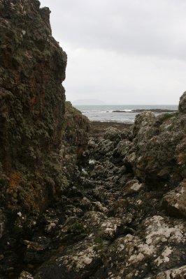 IMG_2173.jpg