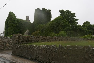 IMG_2238.jpg