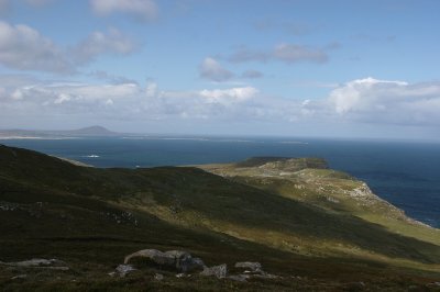 IMG_2284.jpg