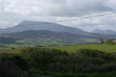 IMG_2288.jpg