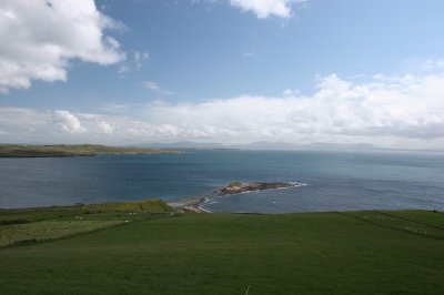 IMG_2299.jpg