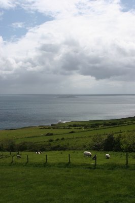 IMG_2303.jpg