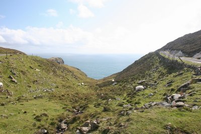 IMG_2325.jpg