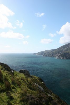 IMG_2330.jpg
