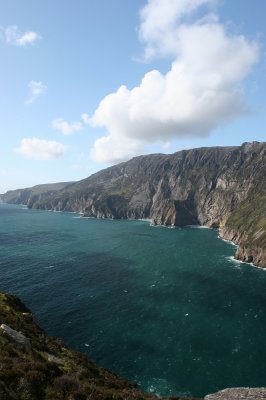 IMG_2331.jpg