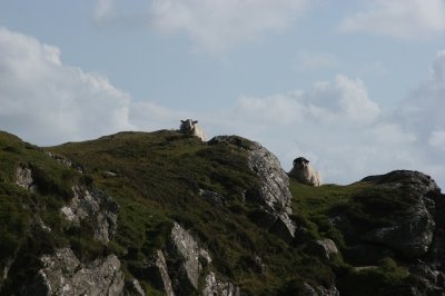 IMG_2345.jpg