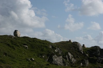 IMG_2346.jpg