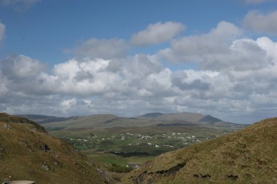 IMG_2350.jpg