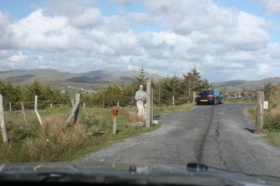 IMG_2351.jpg