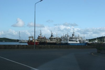 IMG_2352.jpg