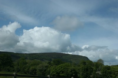 IMG_2364.jpg