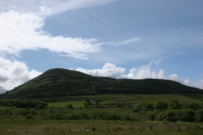 IMG_2365.jpg