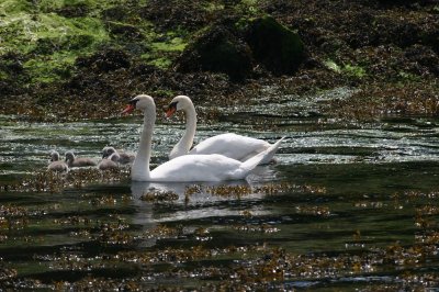IMG_2421.jpg