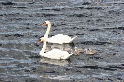 IMG_2431.jpg