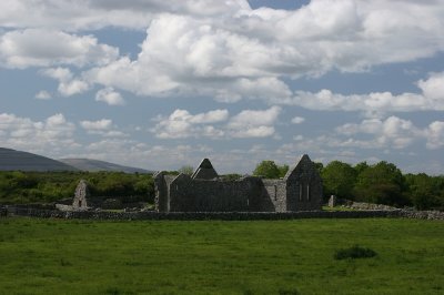 IMG_2453.jpg