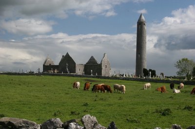 IMG_2455.jpg