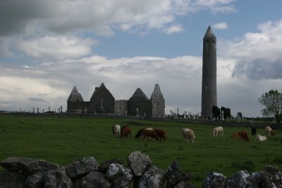 IMG_2456.jpg
