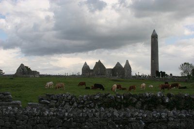 IMG_2464.jpg