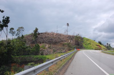 cleared land along the highway