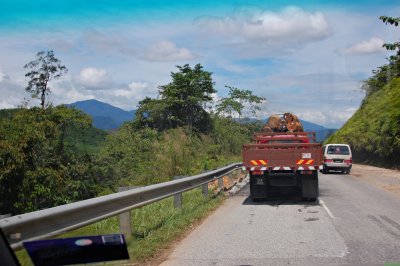 another logging truck