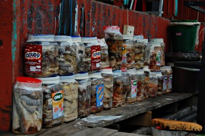making salted fish