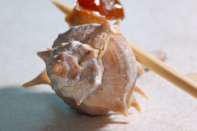 DSC_7212a.jpg