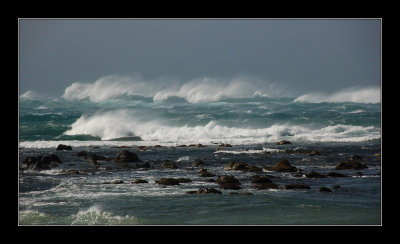 Paia surf