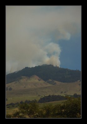 Poli Poli fire