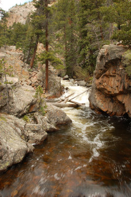 Fern Lake trail
