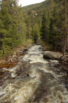 Fern Lake trail