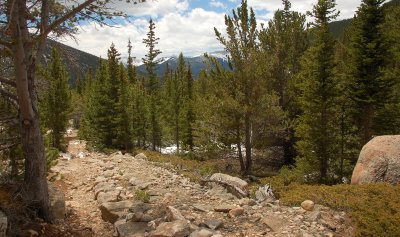 Lawn Lake trail