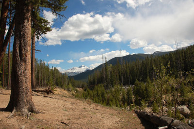 Lawn Lake trail