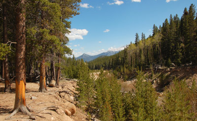 Roaring River