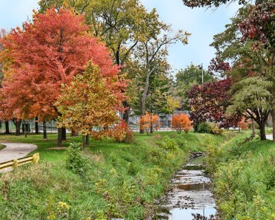 Fall Colors