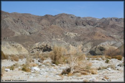 Anza Borrego