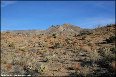 Coyote Canyon