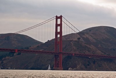 IMG_4393.jpg