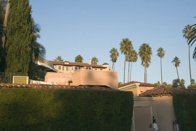 IMG_4852.jpg
