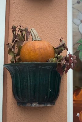 IMG_5998.jpg