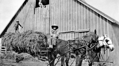 Sam, Seymour and Gilbert Haying