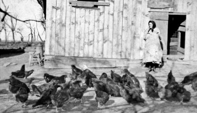 Mary Johnson Tending Her Chickens