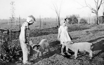 Feeding Orphaned Lambs Dick and Jane