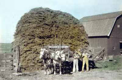 Bill Stevens and Gilbert With Toots on The Hayrack