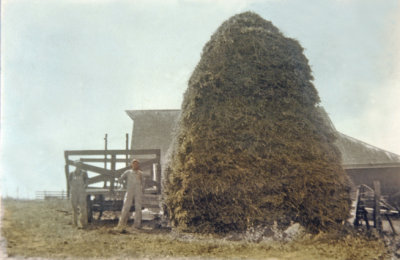 The Finished Haystack