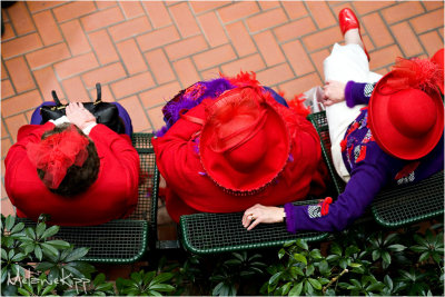 The Red Hat Society & Cher