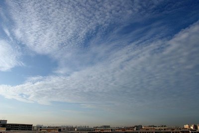 IMG_8840.JPG