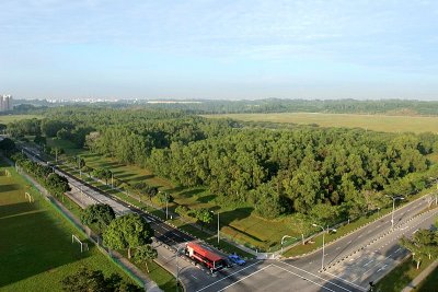IMG_8852.JPG