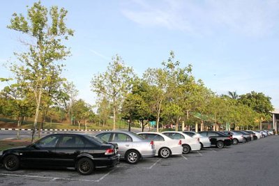 IMG_8879.JPG